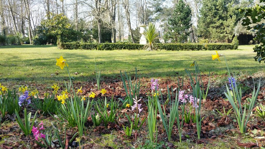 Bed and Breakfast Manoir De La Marjolaine Cabourg Exterior foto